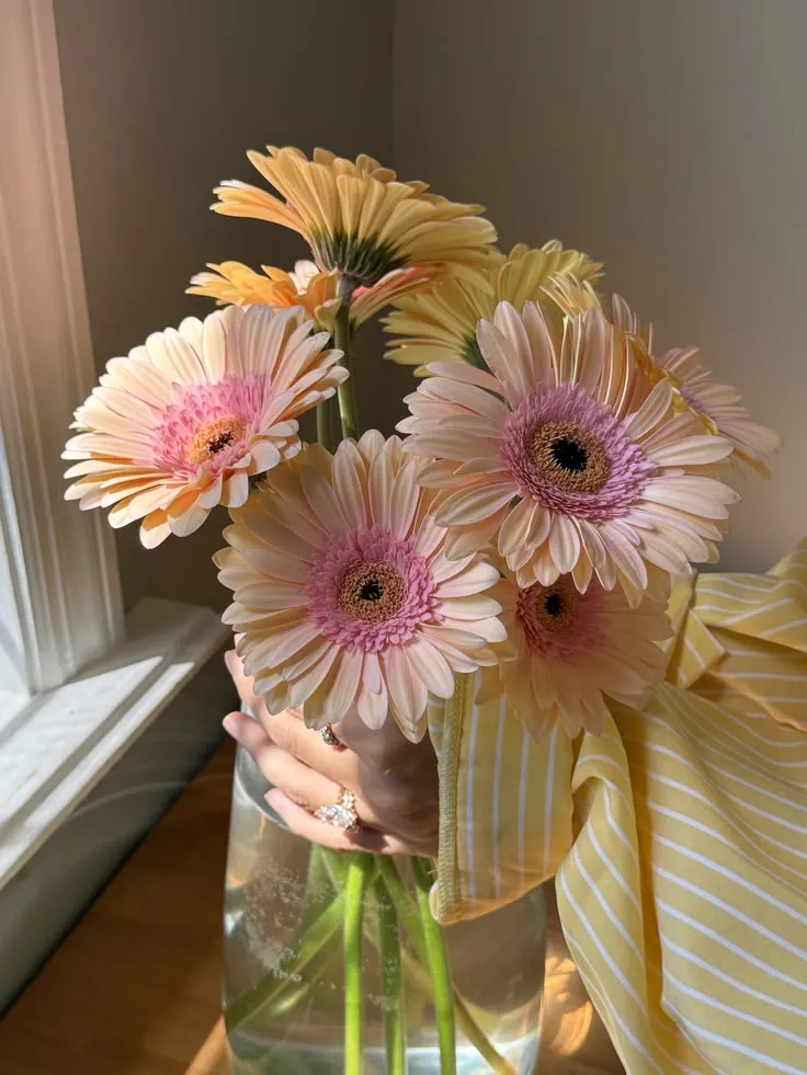 Gérberas rosa e amarelas num vaso de vidro